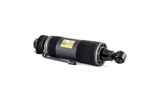 Pneumatic strut