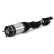 Pneumatic suspension strut