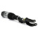 Pneumatic suspension strut, Thumbnail 2
