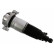 Pneumatic suspension strut, Thumbnail 2