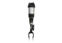 Pneumatic suspension strut