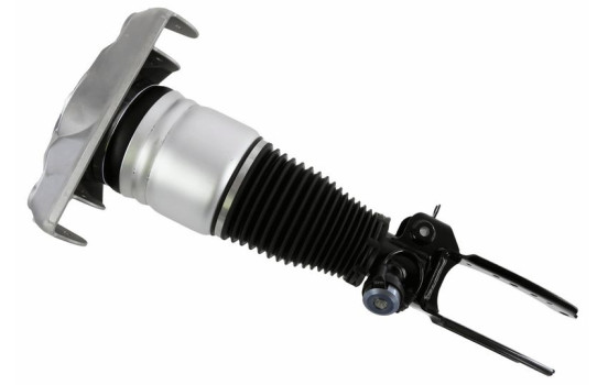 Pneumatic suspension strut, Image 2