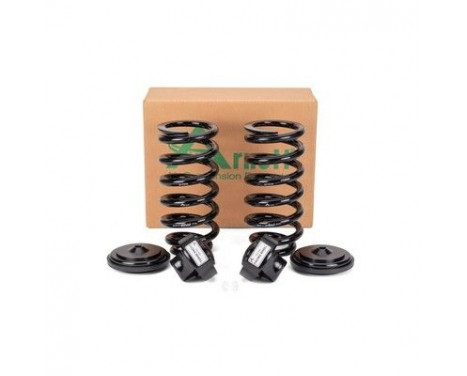 Suspension Kit, coil springs, Image 3