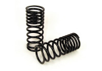 Suspension Kit, coil springs