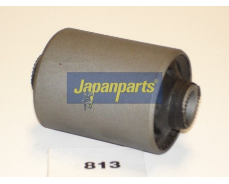 Bush, leaf spring