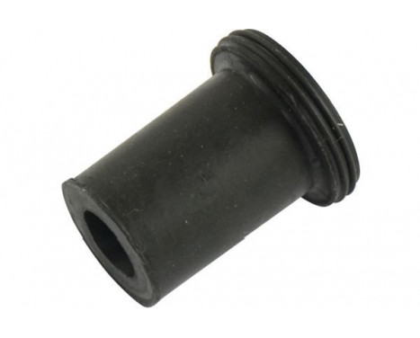 Bush, leaf spring
