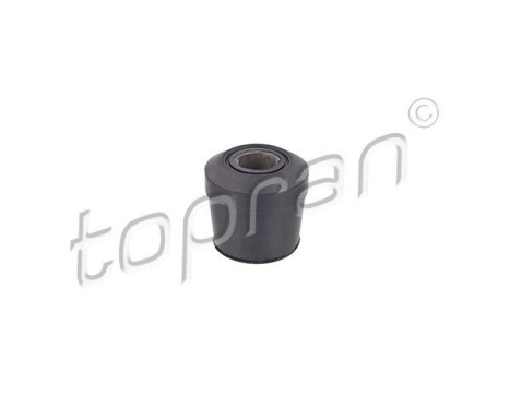 Bush, leaf spring