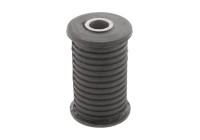 Bush, leaf spring