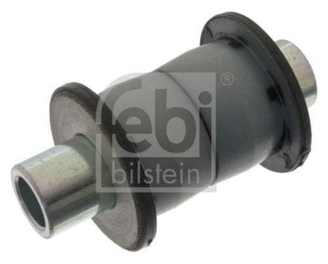 Bush, spring eye, Image 2