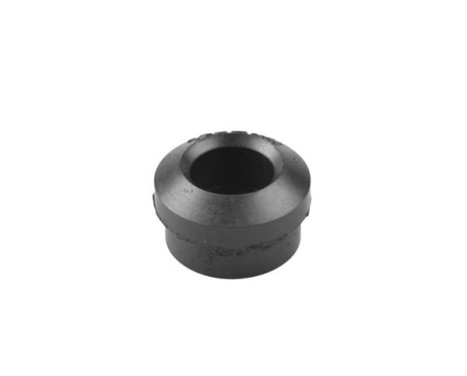 Montage, leaf spring