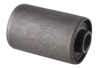 Montage, leaf spring