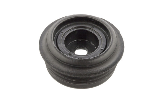Top Strut Mount