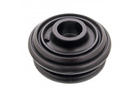 Top Strut Mount