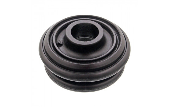 Top Strut Mount