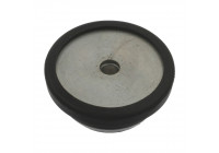 Top Strut Mount