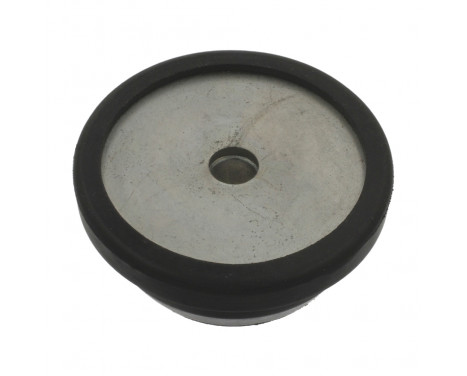Top Strut Mount