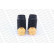 Dust Cover Kit, shock absorber PROTECTION KIT PK004 Monroe, Thumbnail 5