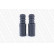 Dust Cover Kit, shock absorber PROTECTION KIT PK066 Monroe, Thumbnail 6