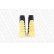 Dust Cover Kit, shock absorber PROTECTION KIT PK331 Monroe, Thumbnail 7