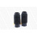 Dust Cover Kit, shock absorber PROTECTION KIT PK420 Monroe, Thumbnail 2