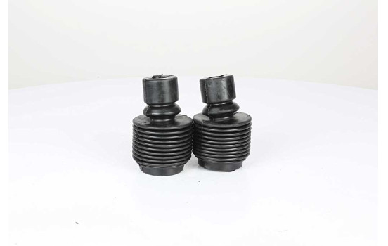 Dust cover, shock absorber