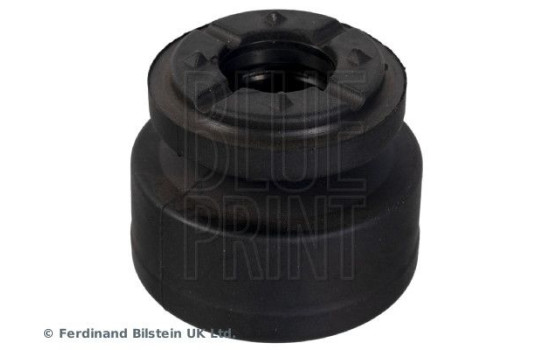 scale ADBP800456 Blue Print