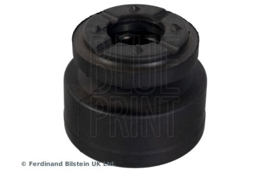 scale ADBP800456 Blue Print