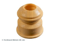 scale ADBP800469 Blue Print