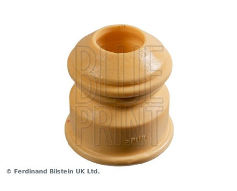 scale ADBP800469 Blue Print