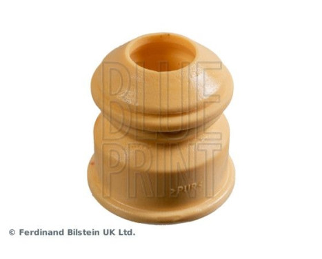 scale ADBP800469 Blue Print