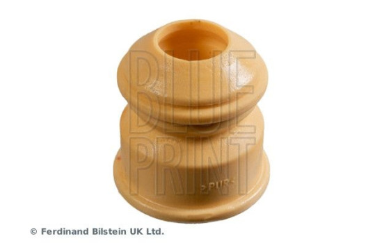 scale ADBP800469 Blue Print
