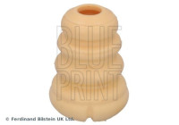 scale ADBP800659 Blue Print