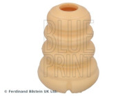 scale ADBP800659 Blue Print