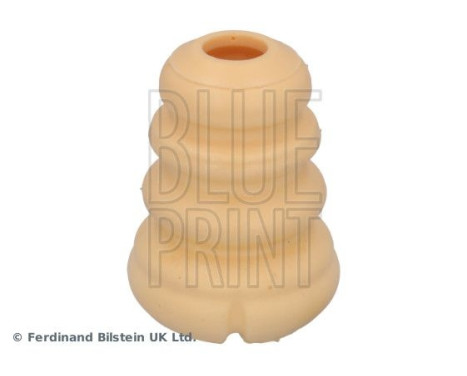 scale ADBP800659 Blue Print