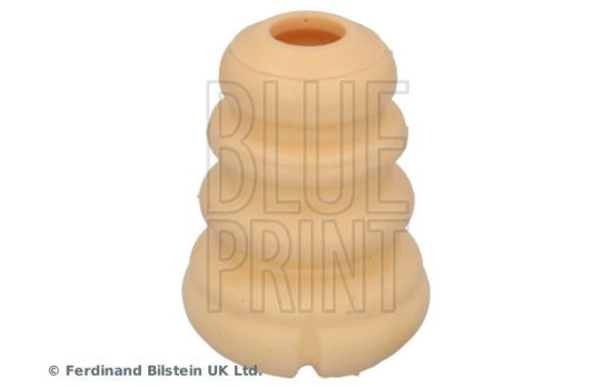scale ADBP800659 Blue Print
