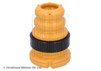 scale ADBP800681 Blue Print