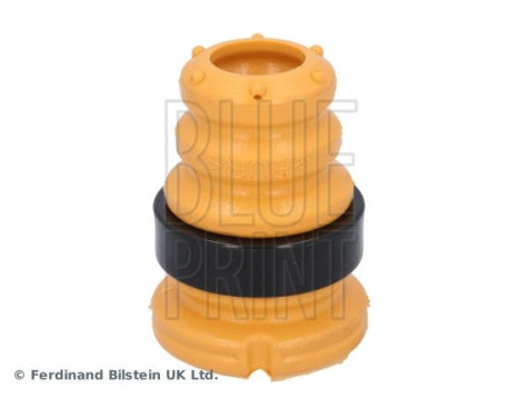 scale ADBP800681 Blue Print