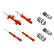 Suspension Kit, coil springs / shock absorbers STR.T KIT
