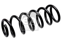 Chassis spring 1003684 FEBI