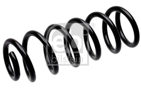 Chassis spring 1003684 FEBI