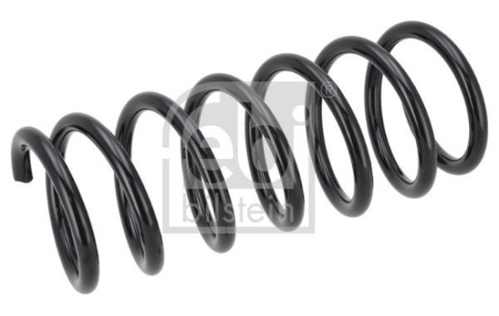 Chassis spring 1003690 FEBI