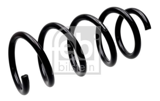 Chassis spring 1003692 FEBI