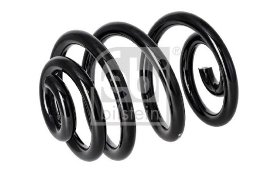 Chassis spring 1003699 FEBI