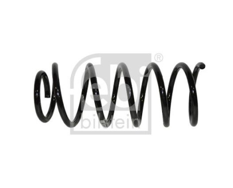 Chassis spring 1008857 FEBI