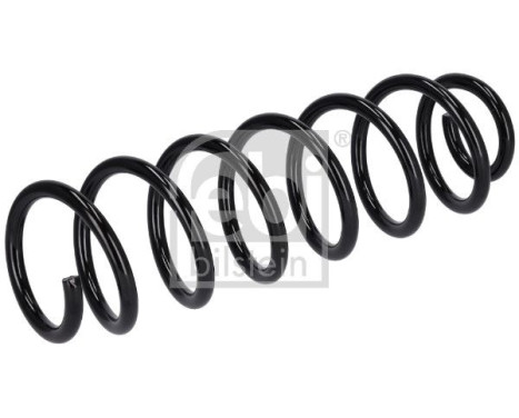 Chassis spring 186294 FEBI
