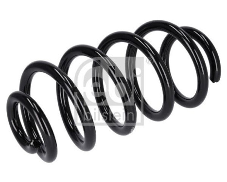 Chassis spring 195072 FEBI