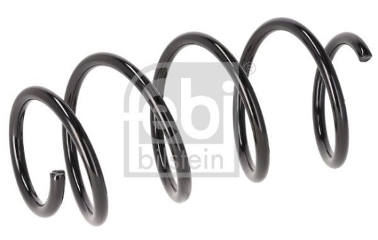 Chassis spring 196205 FEBI