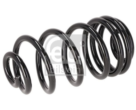 Chassis spring 196207 FEBI