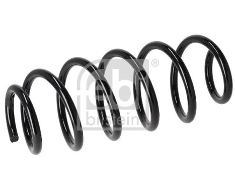 Chassis spring 196290 FEBI