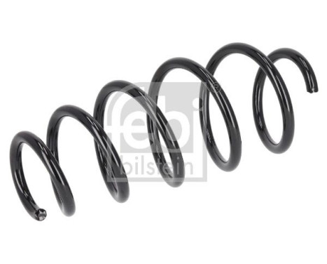 Chassis spring 197061 FEBI